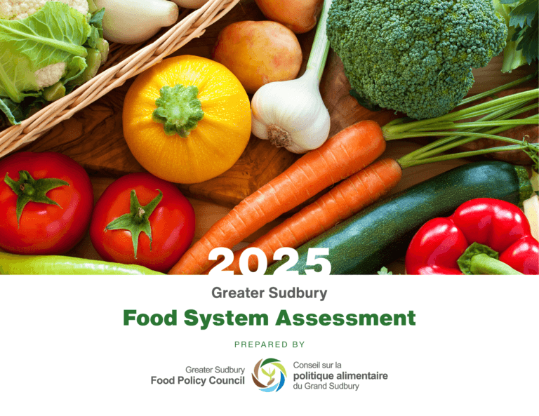 Food Assessment 2025 Dnglish